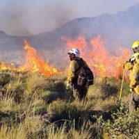 Villa la Angostura implementará fuertes controles y multas ante el riesgo extremo de incendios