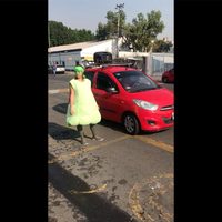 Activistas despliegan intensa campaña contra la #LeyChayote (Video)