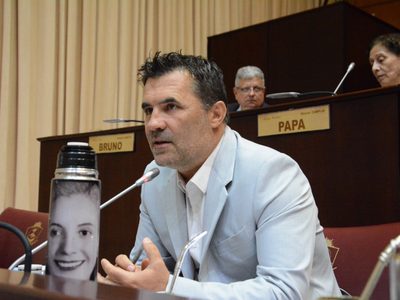 Darío Martínez aseguró que se redujeron las transferencias por coparticipación a Neuquén