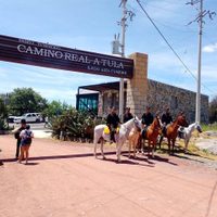Con Agrupamiento Montado de la Guardia Estatal, SSPT refuerza seguridad en áreas rurales y naturales