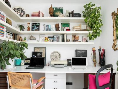 Si querés una planta en tu oficina, pero tenés poca luz, cualquiera de estas tres son perfectas