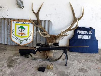 Demoraron a seis cazadores furtivos y secuestraron carne y armas ilegales en Villa Traful