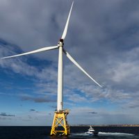 Trump encarga a congresista redactar orden ejecutiva para detener generadores de energia eólica