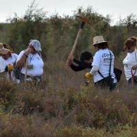 La ardua búsqueda de los desaparecidos