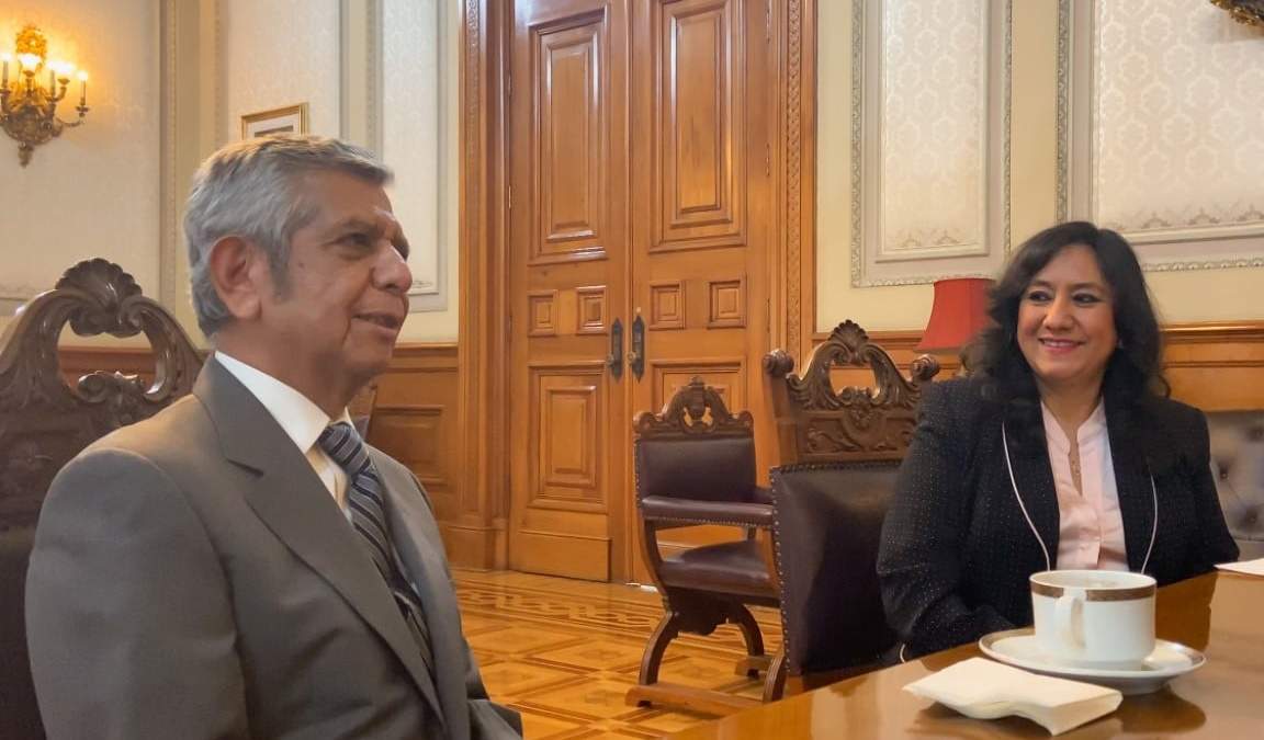 Irma Eréndira Sandoval y Roberto Salcedo Aquino.