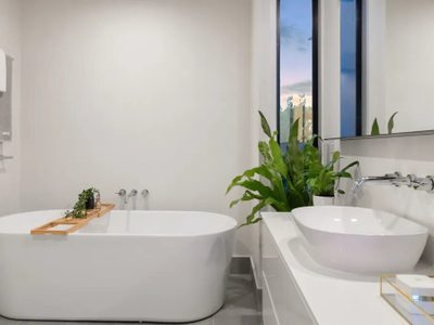 7 plantas hermosas ideales para tu baño que van a absorber toda la humedad