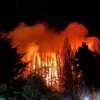 Voraz incendio encendió las alarmas en la zona de Las Chacras, al este de Bariloche