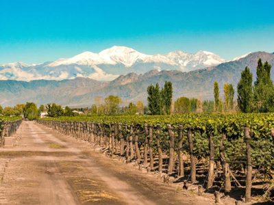 Mendoza entre los destinos más elegidos para el próximo fin de semana largo