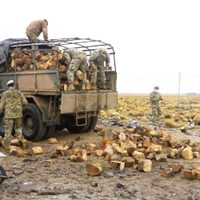 Zapala: Desarrollo Humano finalizó con las tareas del Operativo Leña
