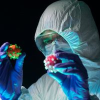 Atención: científicos reportan una nueva cepa del coronavirus originada en Perú o Chile