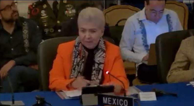 Luz Elena Baños Rivas, representante de México ante la OEA, la representante del gobierno de AMLO en la reunión de la CIDH