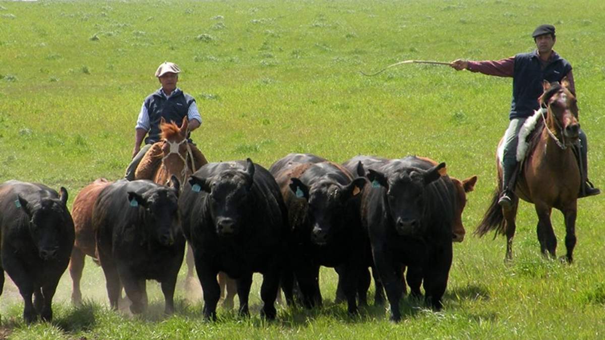 El coronavirus en el campo. Fuente: (Twitter)