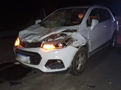 Atropellaron a dos caballos en la ruta 40