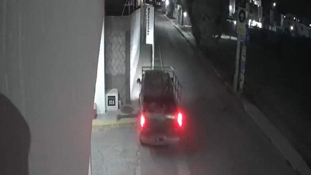Momento en que un conductor atropella a tres perros