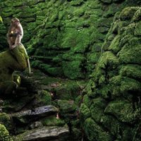 'La Ciudad Perdida del Dios Mono”, de Douglas Preston