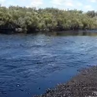 Derrame en Catriel: desde Oldelval indicaron que ningún curso de agua fue afectado