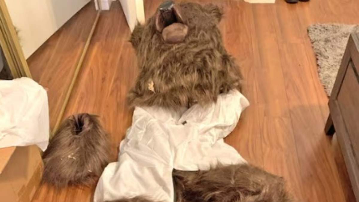 Foto entregada por el Departamento de Seguros de California que muestra el disfraz de oso que según la policía usaron unas personas para defraudar a compañías aseguradora