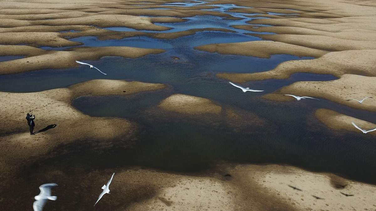 Pájaros vuelan sobre un hombre que toma fotos del lecho expuesto del Río Paraná Viejo, afluente del Paraná, durante una sequía en Rosario, Argentina