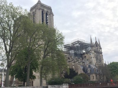 Notre Dame: el duelo un día después del incendio (Video)