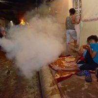 De noche, fumigan a migrantes en Chiapas para 'prevenir el dengue” (Videos)
