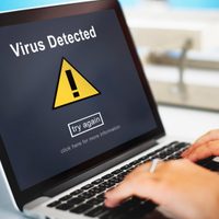 No llames al técnico: mirá cómo eliminar los virus de tu computadora en 5 minutos y sin instalar ningún programa