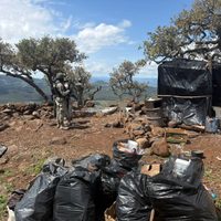 Desmantelan "narcocampamento" para reclutamiento forzado en Huejuquilla, Jalisco