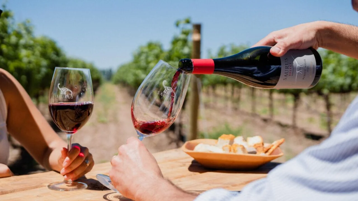 Vinos. Fuente: (X)