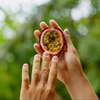 La planta que podés cultivar en maceta y da un fruto que casi no se consigue