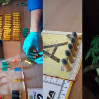 Cayó una banda que faenaba caballos, robaba autos y vendía drogas en Neuquén