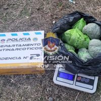 Secuestraron cannabis y un arma de fabricación casera en espacios verdes de cuatro barrios