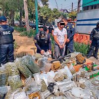 Cómo se divide el crimen organizado en la capital