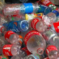 Sin gastar: transformá las botellas de plástico que ibas a tirar en este proyecto ideal para mantener ordenada tu cocina