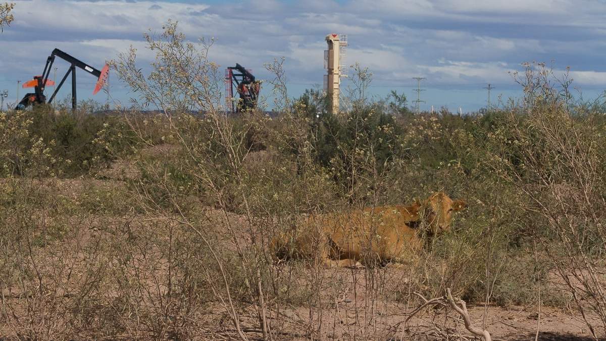 Yacimiento no convencional de Loma Campana. Fuente: (Emiliano Ortiz)