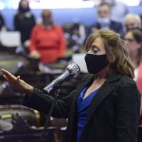 Diputados: tras el escándalo, asumió Alcira Figueroa en reemplazo de Juan Ameri