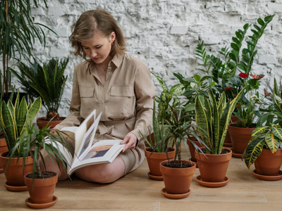 3 plantas que sobreviven sin demasiada atención y casi no necesitan que las riegues