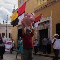 Comunidad de Homún pide a la SCJN mantener suspendidas operaciones de empresa porcícola