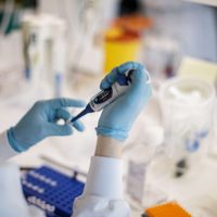 Encuentran relación entre el tipo de sangre y el nivel de riesgo del coronavirus