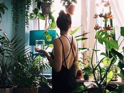La hermosa planta que se mueve con el Sol por esta insólita razón