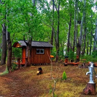 Isla Aitue: el refugio natural que combina camping y descanso a pasos del Alto Valle