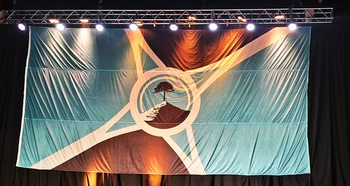 La bandera, presentada hace pocos días, fue criticada. Fuente: (X)