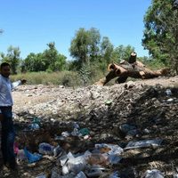 La Profepa atiende denuncia por supuesto ecocidio en riberas de Ahome, Sinaloa