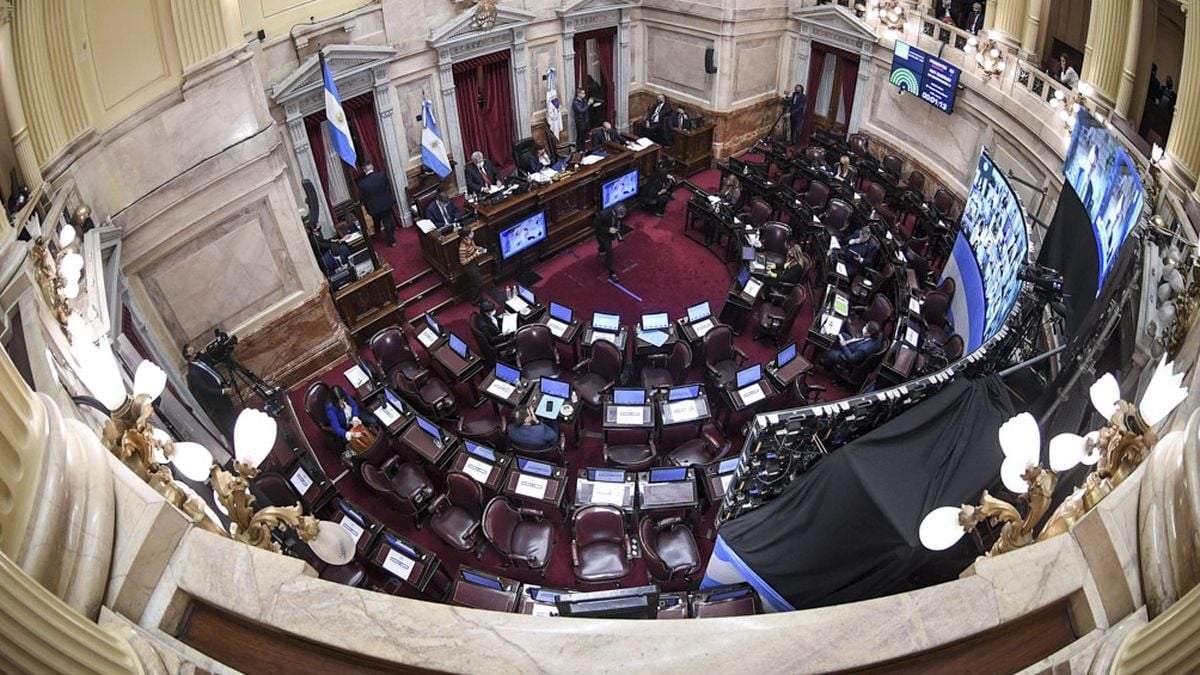 Cámara de Senadores. Fuente: (Twitter)