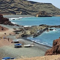 La playa argentina que regala avistajes de delfines en verano: descubrí cómo llegar