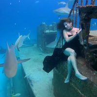 Mujer desafía a las profundidades y a los tiburones para una impresionante sesión de modelaje