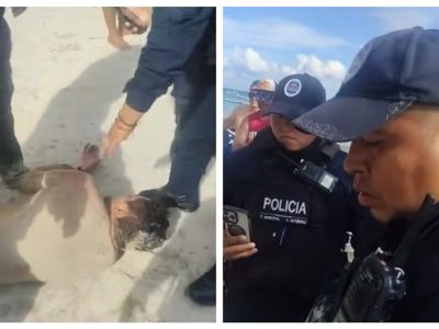 Denuncian brutalidad policiaca en Playa del Carmen; pescador murió tras ser detenido (Video)