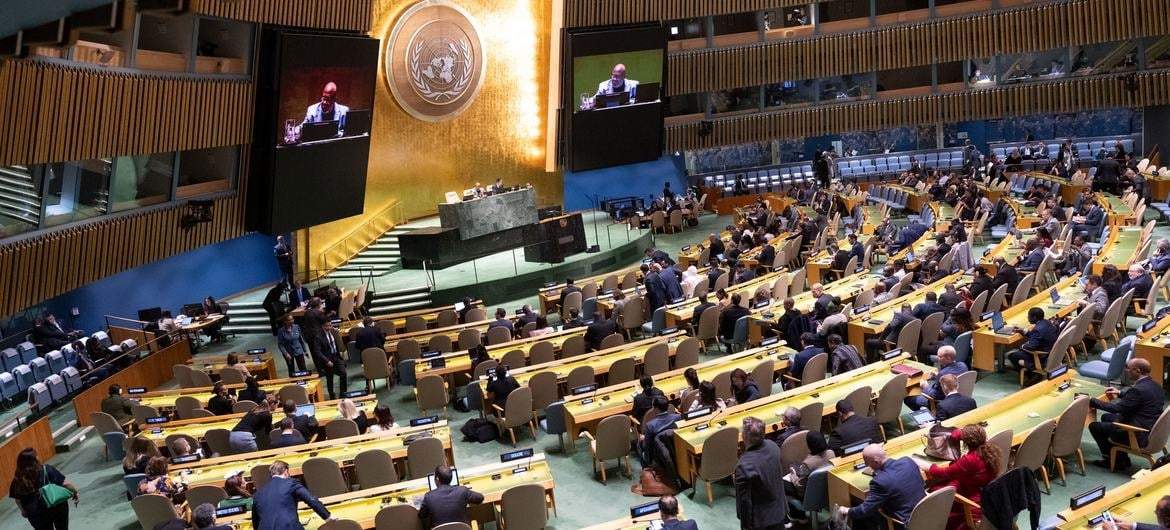 Asamblea General de la ONU