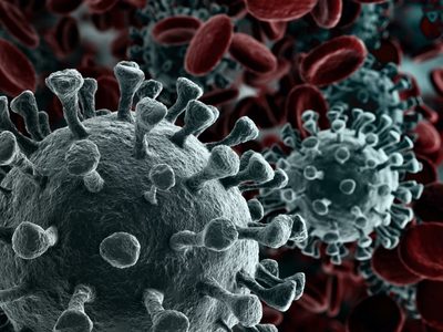 Confirmado por la OMS: los vacunados y curados pueden infectarse con la variante Ómicron