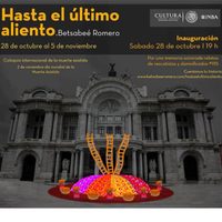 "Hasta el  último aliento", en la explanada de Bellas Artes