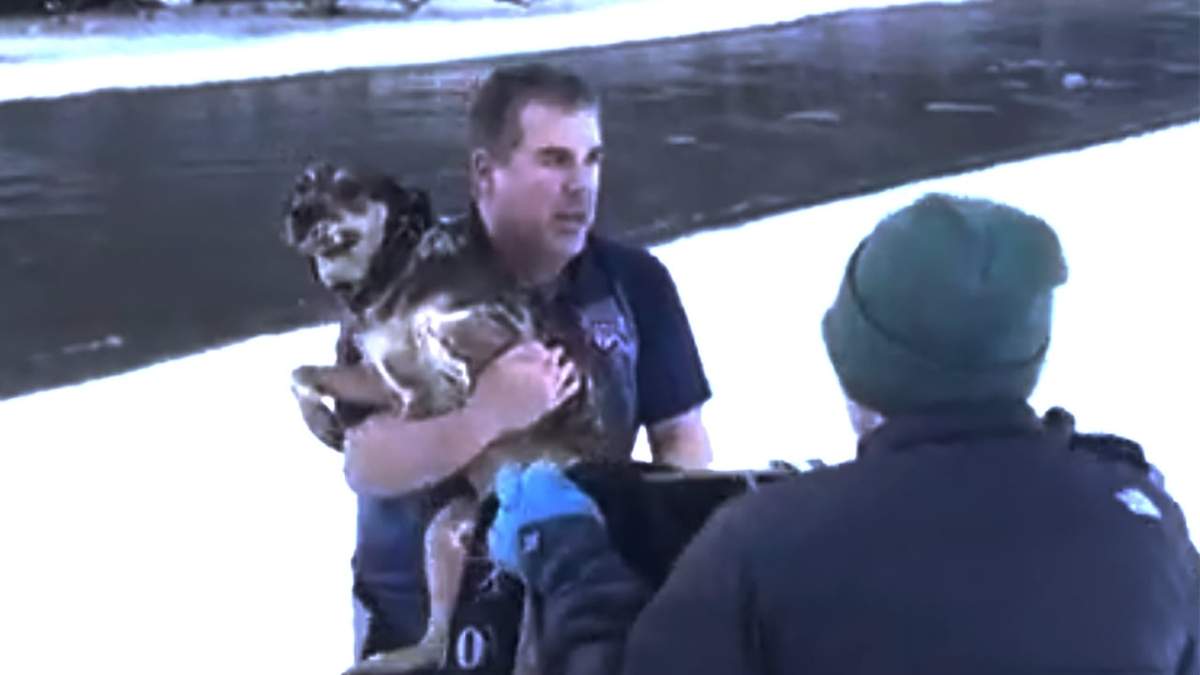 Chris MacRitchie rescatando a un perro del Río Winoosk en Vermont