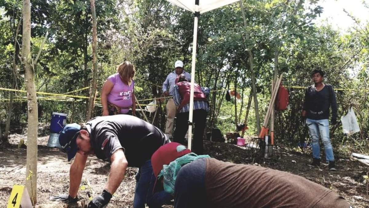 Colectivos de búsqueda de Veracruz